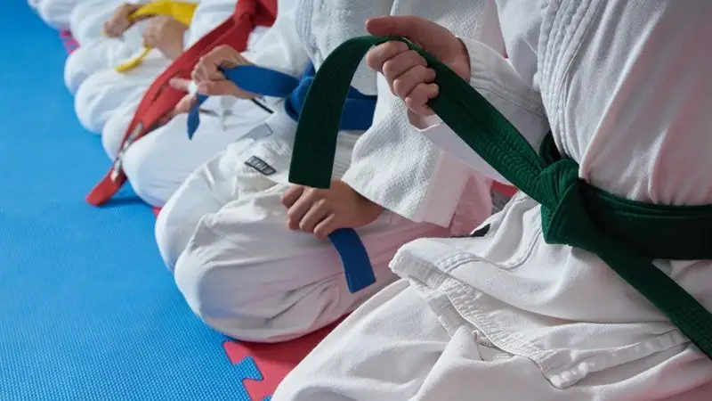 Niños en una clase de artes marciales Niños en una clase de artes marciales