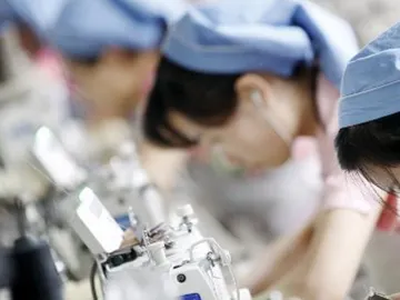 Varias mujeres en sus puestos de trabajo Varias mujeres en sus puestos de trabajo