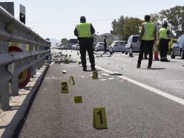 La escena del atropello entre las localidades de Oliva y Denia