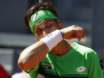 El tenista David Ferrer El tenista David Ferrer