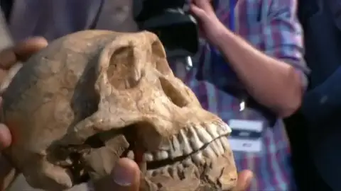 Frame 18.699829 de: Un fósil demuestra la convivencia entre el primer hombre y una especie de homínido Frame 18.699829 de: Un fósil demuestra la convivencia entre el primer hombre y una especie de homínido