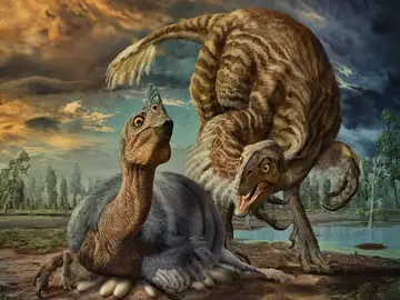 Identifican la especie de un embrion de dinosaurio hallado en los anos 90 Identifican la especie de un embrion de dinosaurio hallado en los anos 90