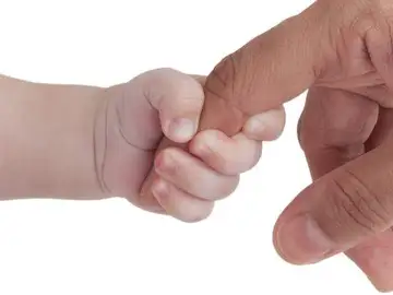 Paternidad Paternidad