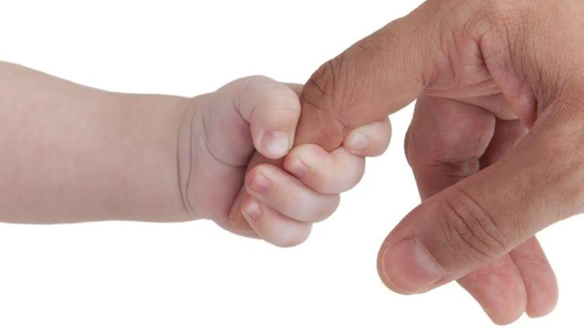Paternidad Paternidad