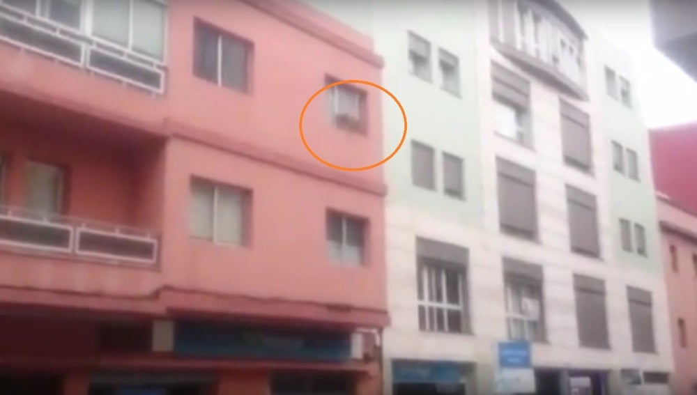El perro subido en el alféizar de la ventana