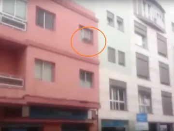 El perro subido en el alféizar de la ventana El perro subido en el alféizar de la ventana