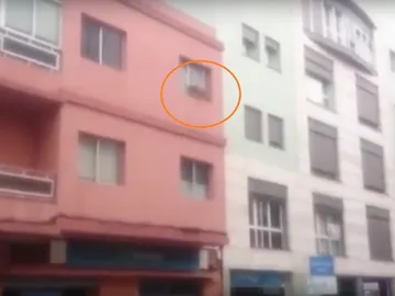 El perro subido en el alféizar de la ventana El perro subido en el alféizar de la ventana