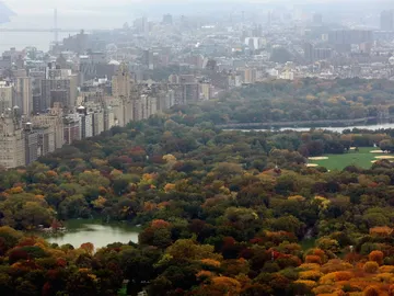 Central Park Central Park