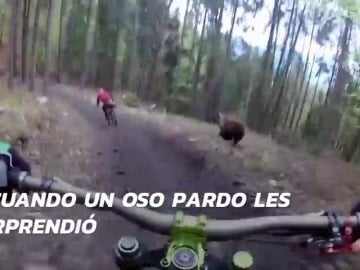 Frame 17.008365 de: El escalofriante momento en que un oso ataca a dos ciclistas en pleno bosque