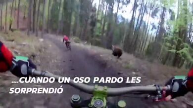 El escalofriante momento en que un oso ataca a dos ciclistas en pleno bosque