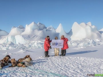 Un censo de Groenlandia,hecho por españoles, revela más animales que personas