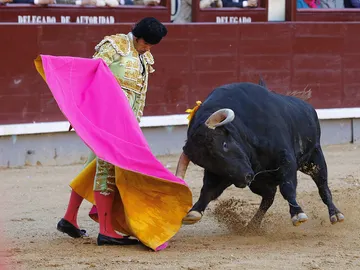 David Mora, durante la faena a su primer toro en la octava de la Feria de San Isidro 2017. David Mora, durante la faena a su primer toro en la octava de la Feria de San Isidro 2017.