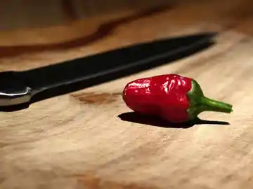 El chile más picante del mundo El chile más picante del mundo