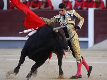 El diestro Alejandro Talavante en la faena a su primero durante la tradicional Corrida de la Prensa El diestro Alejandro Talavante en la faena a su primero durante la tradicional Corrida de la Prensa