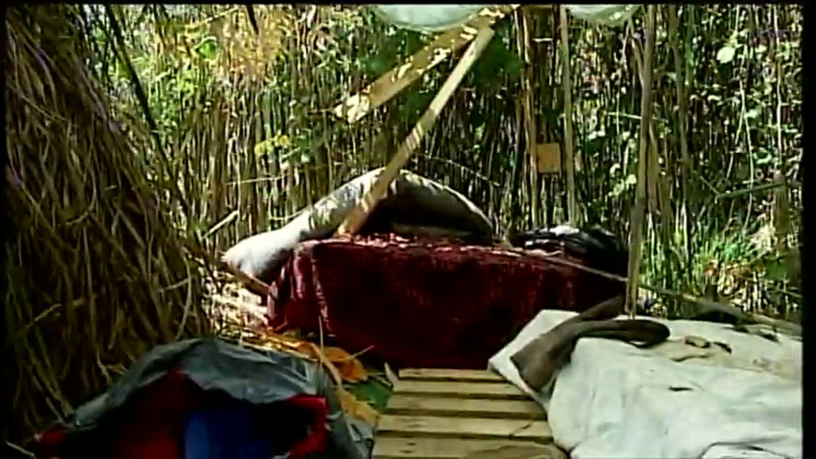 El niño maltratado en Tudela construyó un refugio en el bosque para escapar de su padre