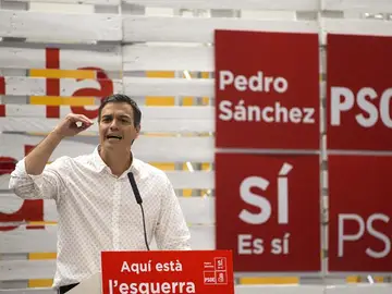 Pedro Sánchez Pedro Sánchez