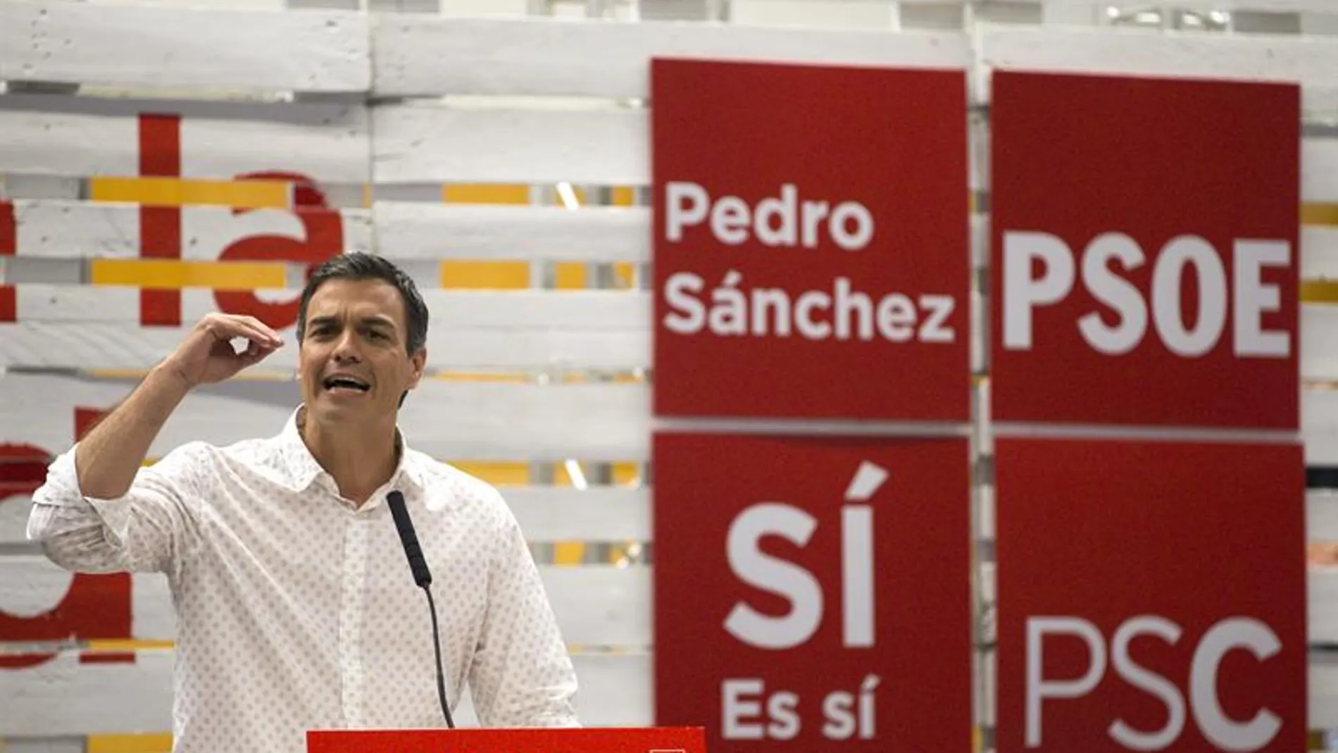 Pedro Sánchez Pedro Sánchez