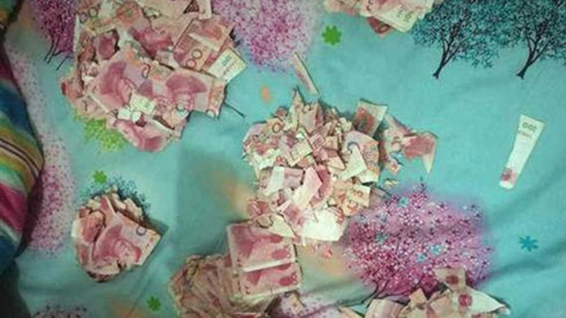 Los pedazos de los billetes Los pedazos de los billetes