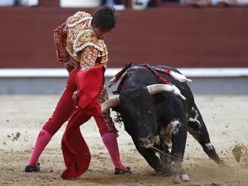 El novillero venezolano Jesús Enrique Colombo en la faena a su segundo novillo El novillero venezolano Jesús Enrique Colombo en la faena a su segundo novillo