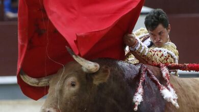 La falta de casta y de fuerzas hunde en el sopor a Las Ventas