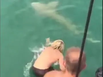 Un joven intenta cabalar a un tiburón y este le muerde Un joven intenta cabalar a un tiburón y este le muerde