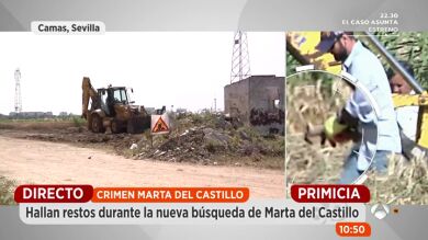 Los investigadores analizan muestras de huesos hallados en la zona donde buscan a Marta del Castillo
