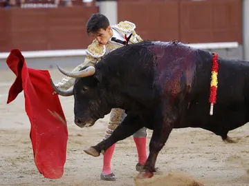 El diestro Gonzalo Caballero en la faena a su segundo toro El diestro Gonzalo Caballero en la faena a su segundo toro