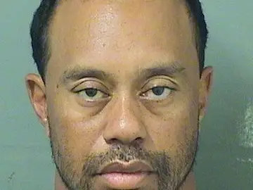 La ficha policial de Tiger Woods La ficha policial de Tiger Woods