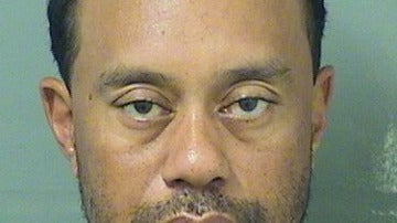 La ficha policial de Tiger Woods