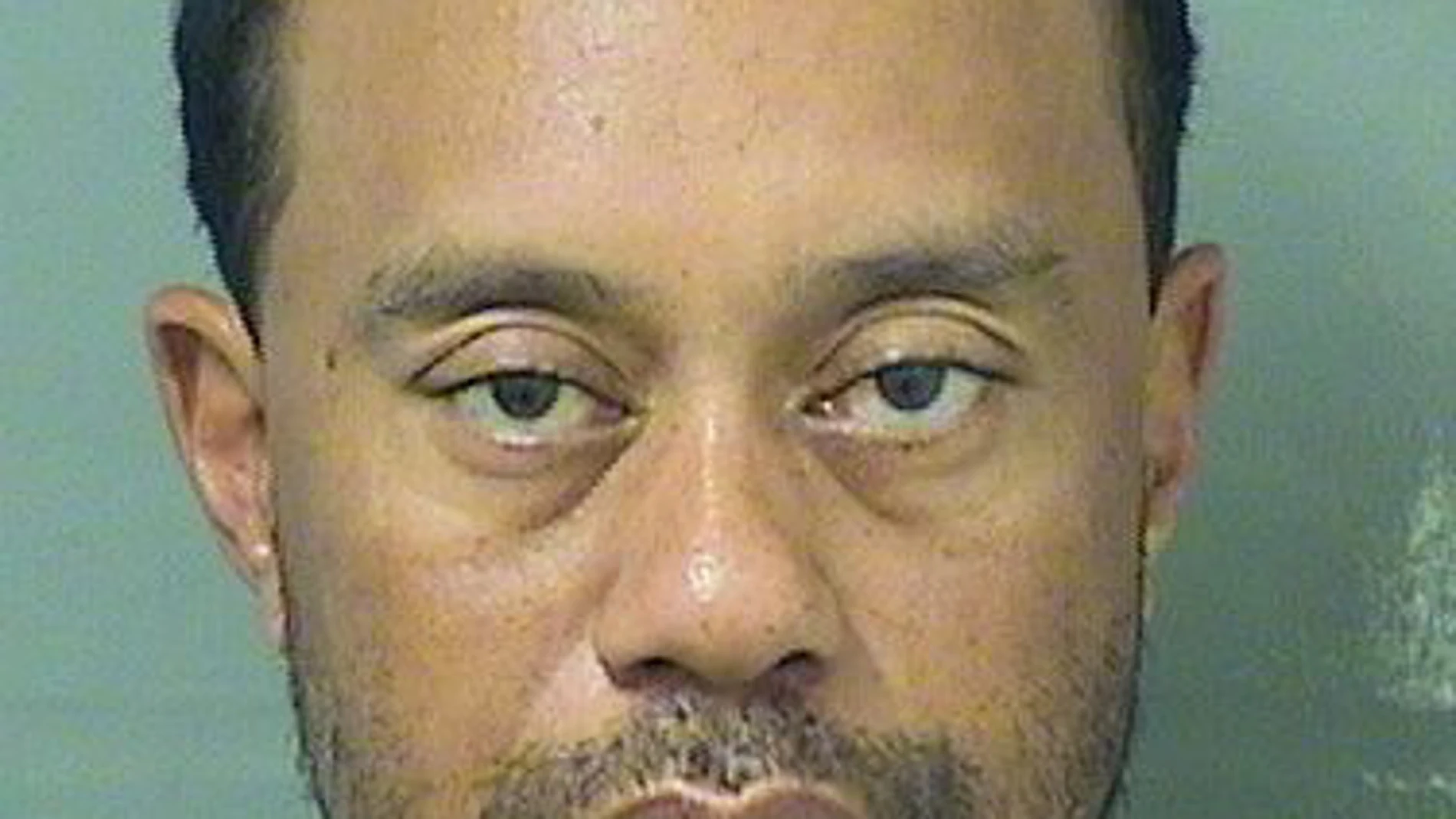 La ficha policial de Tiger Woods La ficha policial de Tiger Woods