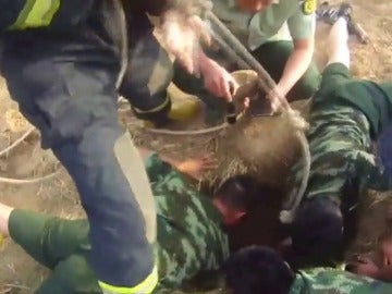Frame 6.585201 de: Rescatan ileso a un niño que se había colado por un pozo de 30 centímetros de diámetro