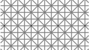 Juego visual en el que no se pueden ver los 12 puntos negros a la vez