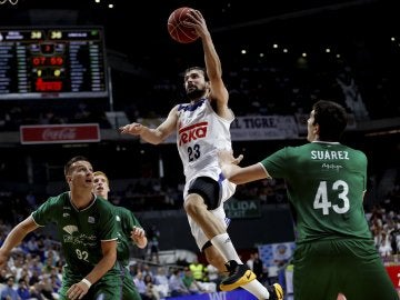 El escolta del Real Madrid Sergio Llull