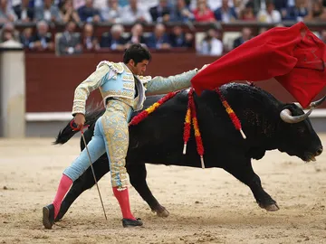 El diestro Cayetano Rivera con su segundo toro El diestro Cayetano Rivera con su segundo toro