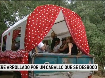 Frame 11.952222 de: arrolladocaballo Frame 11.952222 de: arrolladocaballo