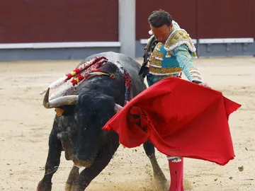 El diestro Antonio Ferrera en la faena a su primer toro El diestro Antonio Ferrera en la faena a su primer toro