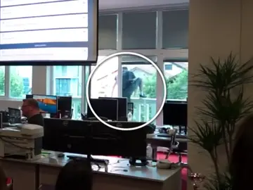 Frame 9.286707 de: La broma pesada de un jefe a sus trabajadores como celebración a los buenos resultados empresariales Frame 9.286707 de: La broma pesada de un jefe a sus trabajadores como celebración a los buenos resultados empresariales