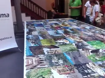 Frame 31.219555 de: Aficionados montan el puzle de piezas de madera más grande del mundo en La Palma Frame 31.219555 de: Aficionados montan el puzle de piezas de madera más grande del mundo en La Palma