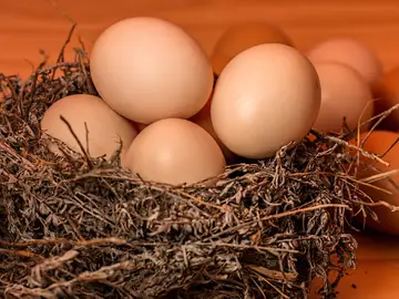 Los huevos parecen ser una fuente viable y recomendada de nutrición Los huevos parecen ser una fuente viable y recomendada de nutrición