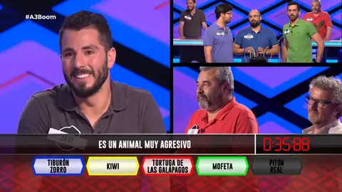 Animales bonitos pero altamente violentos Animales bonitos pero altamente violentos