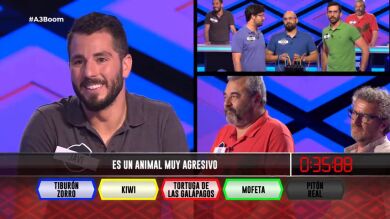 Animales bonitos pero altamente violentos