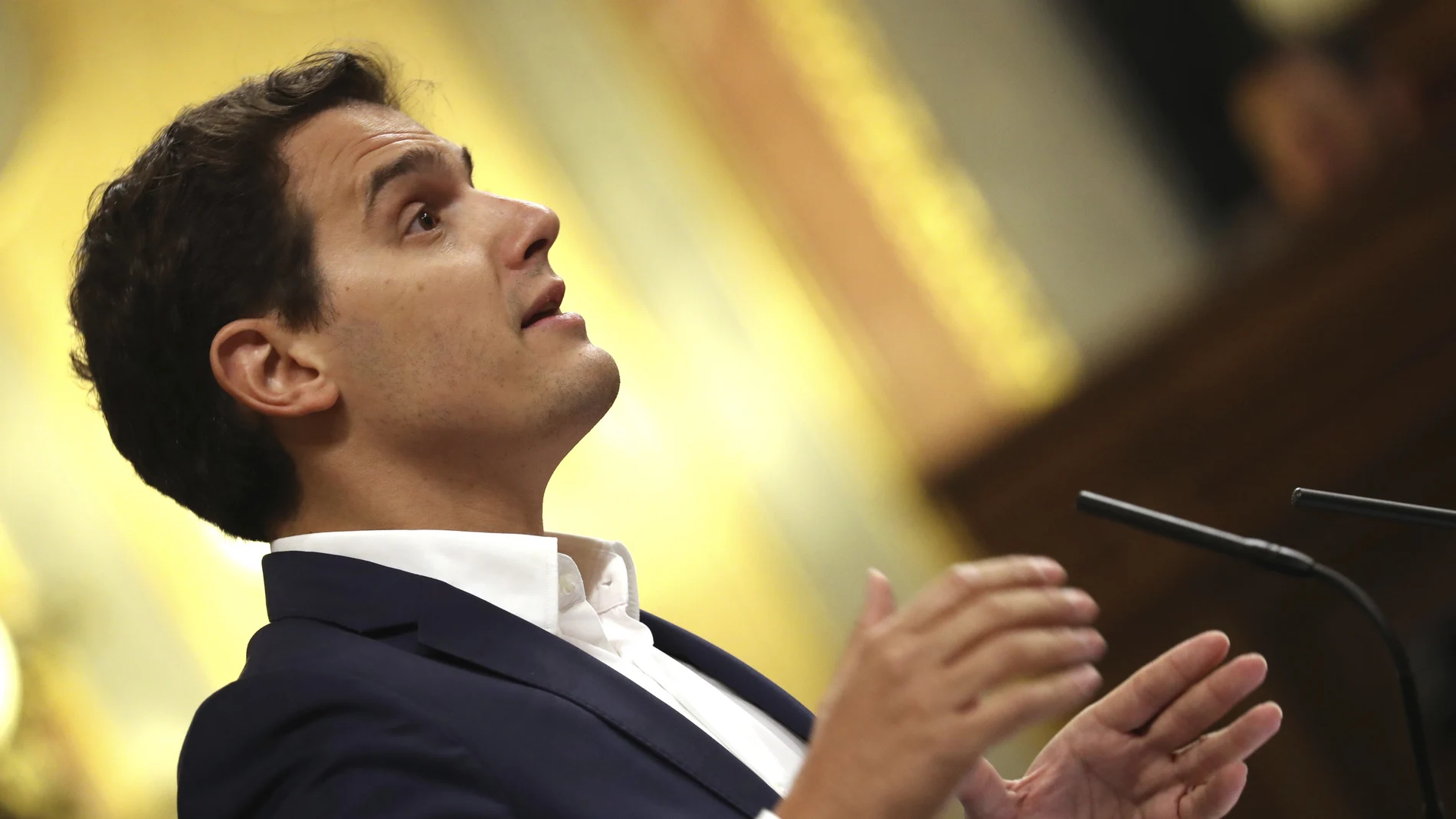 Albert Rivera durante su intervención Albert Rivera durante su intervención