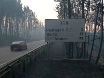 El incendio de Portugal, que ya se ha cobrado 64 víctimas mortales, continúa activo en cuatro focos