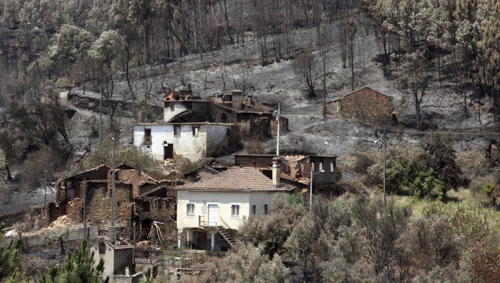 Vista de la zona quemada por el incendio originado en Pedrógão Grande