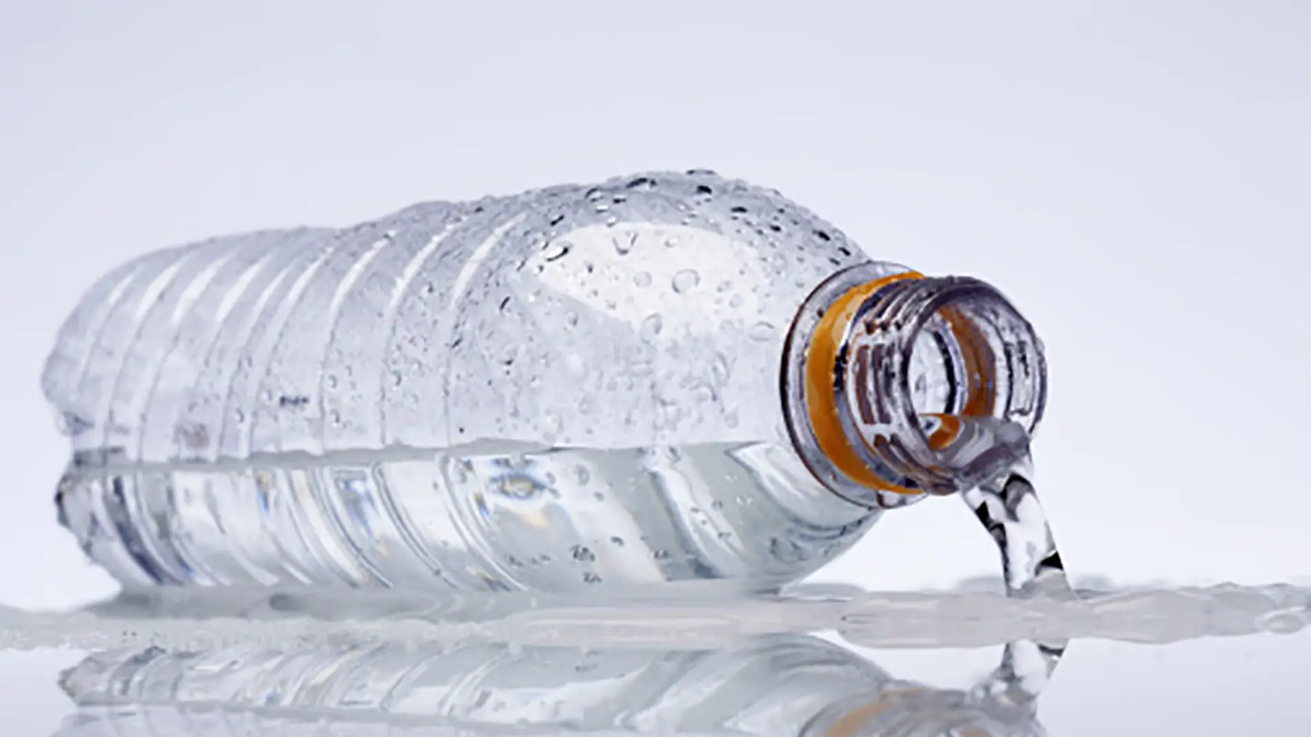 Las botellas que te ayudarán a olvidar el plástico y llevar siempre agua  encima
