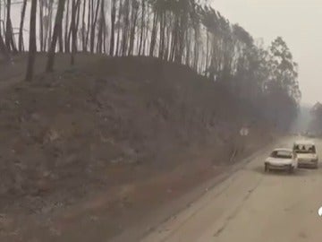 La lucha contra el incendio luso se reparte entre los municipios de Góis y Pedrógão Grande