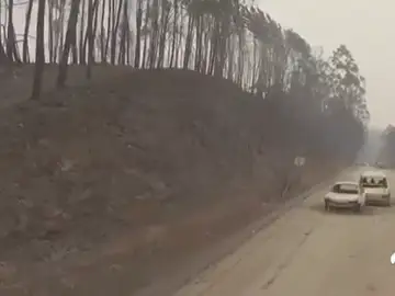 La lucha contra el incendio luso se reparte entre los municipios de Góis y Pedrógão Grande La lucha contra el incendio luso se reparte entre los municipios de Góis y Pedrógão Grande