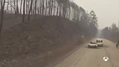 La lucha contra el incendio luso se reparte entre los municipios de Góis y Pedrógão Grande La lucha contra el incendio luso se reparte entre los municipios de Góis y Pedrógão Grande