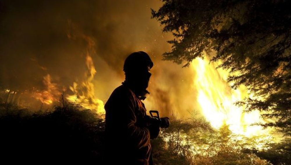 Bomberos de Madrid ayudan a extinguir el fuego en Portugal