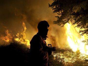 Bomberos de Madrid ayudan a extinguir el fuego en Portugal
